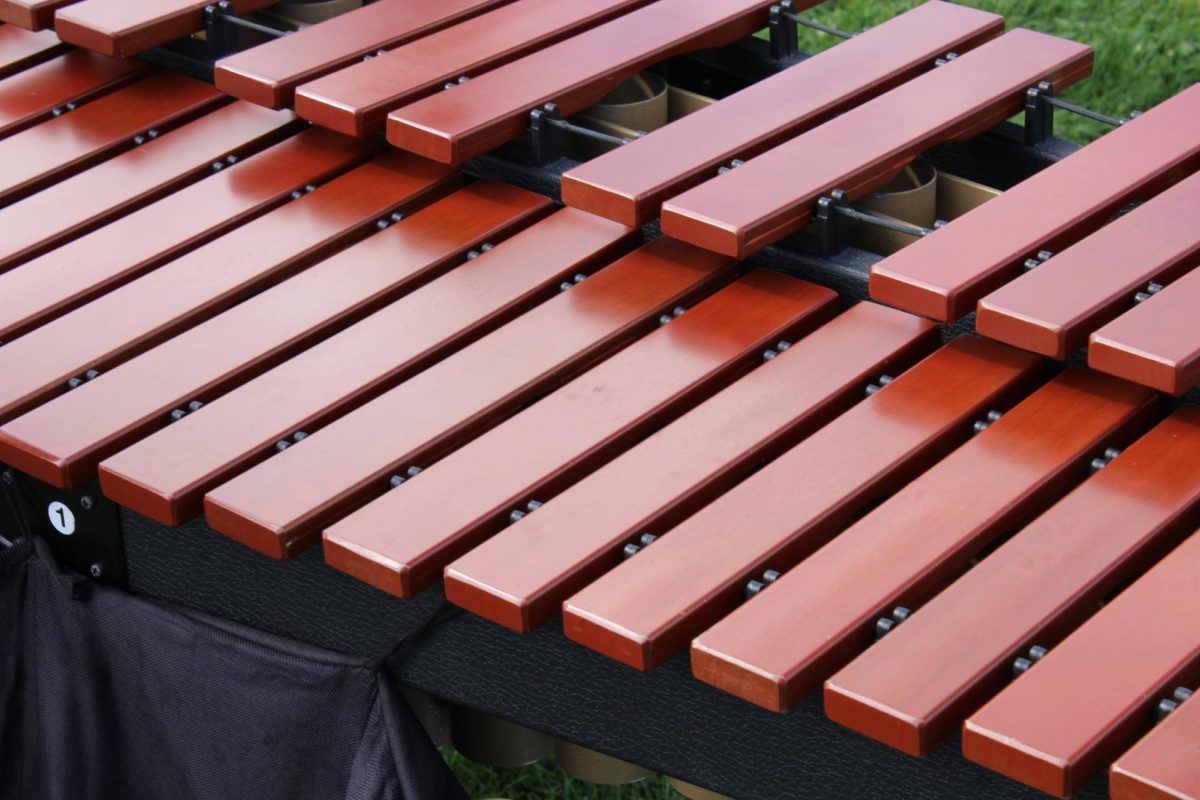 One of the marching bands marimbas, played by Ty Phillips